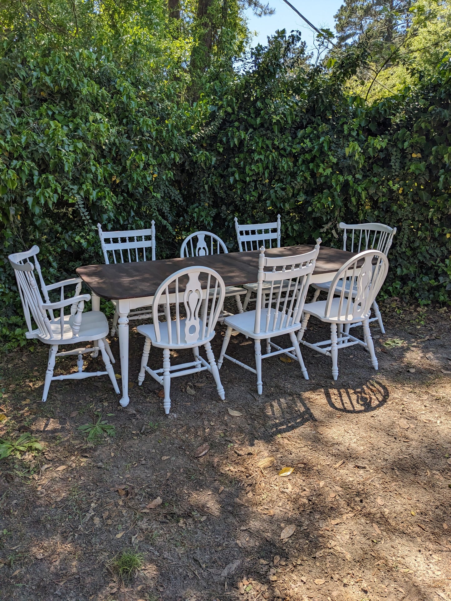 Dining Table & 8 Chairs Set